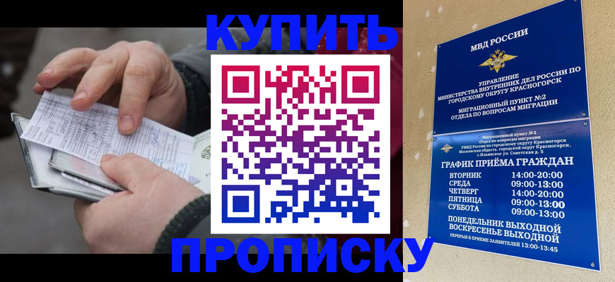 временная регистрация недорого в Лыткарино